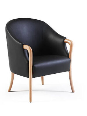 Home furniture sofa and chair isolated style, white background and shadow.